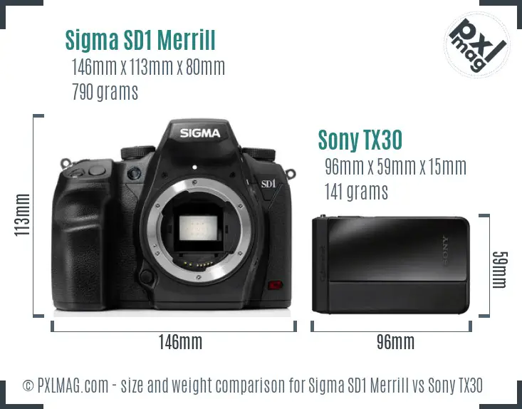 Sigma SD1 Merrill vs Sony TX30 size comparison