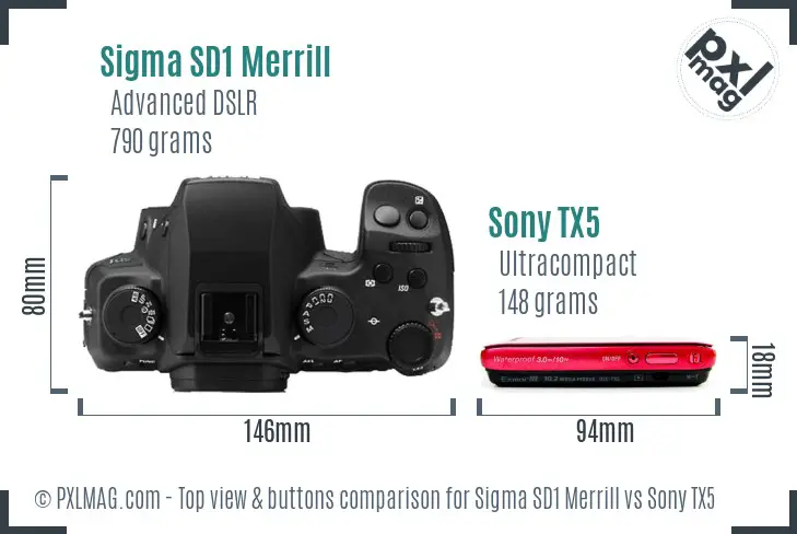 Sigma SD1 Merrill vs Sony TX5 top view buttons comparison