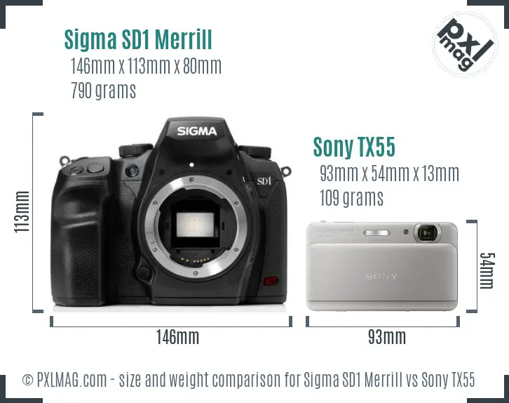 Sigma SD1 Merrill vs Sony TX55 size comparison