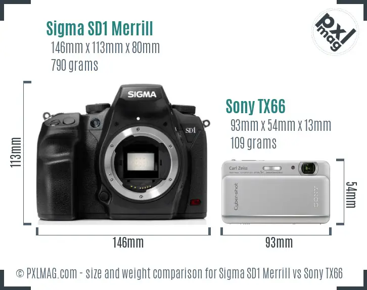 Sigma SD1 Merrill vs Sony TX66 size comparison