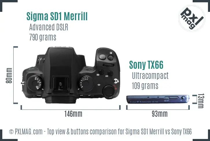 Sigma SD1 Merrill vs Sony TX66 top view buttons comparison