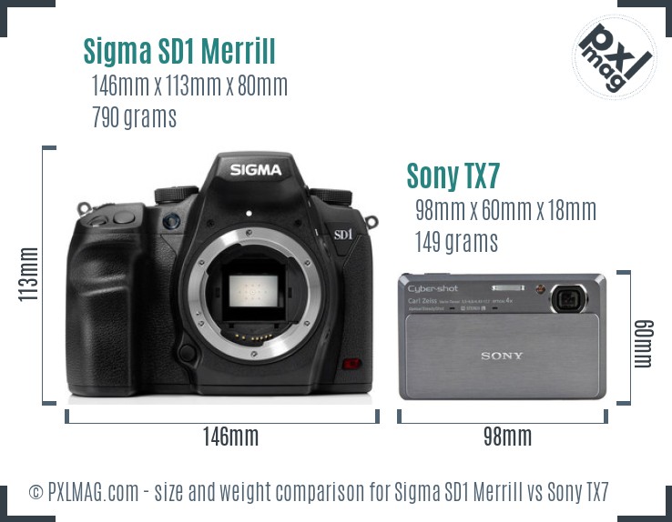 Sigma SD1 Merrill vs Sony TX7 size comparison