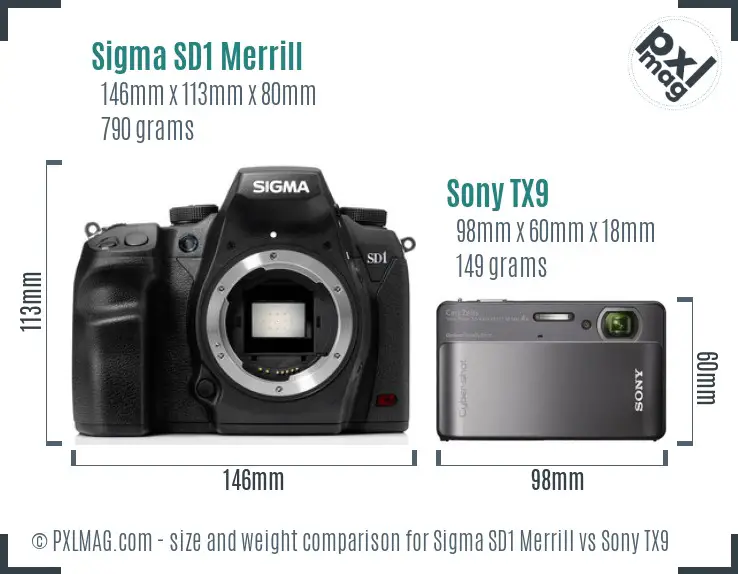 Sigma SD1 Merrill vs Sony TX9 size comparison