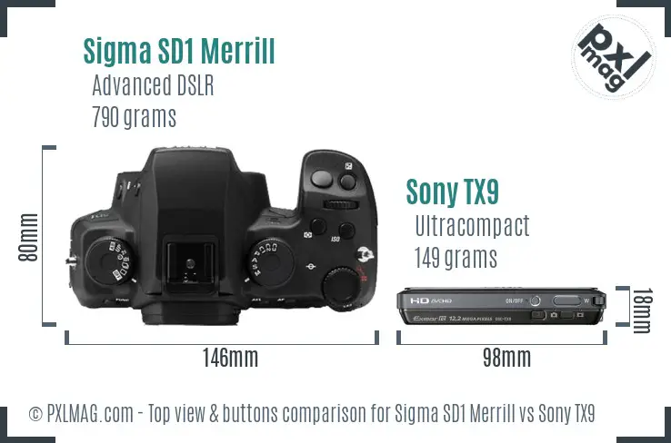 Sigma SD1 Merrill vs Sony TX9 top view buttons comparison