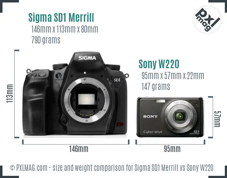 Sigma SD1 Merrill vs Sony W220 size comparison