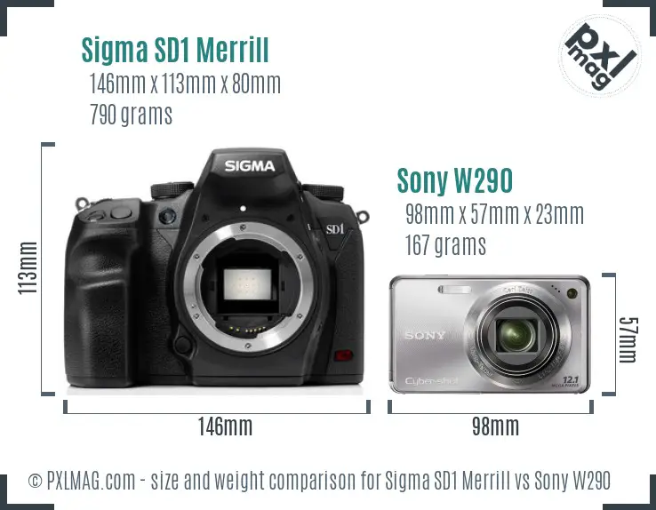 Sigma SD1 Merrill vs Sony W290 size comparison