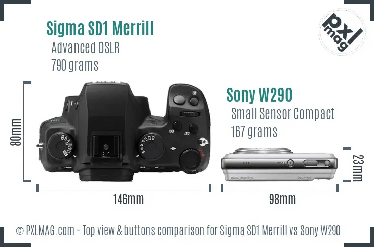 Sigma SD1 Merrill vs Sony W290 top view buttons comparison