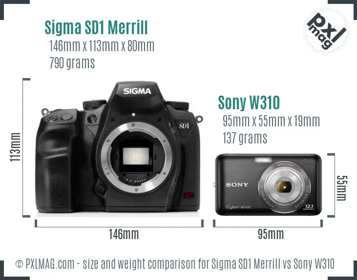 Sigma SD1 Merrill vs Sony W310 size comparison