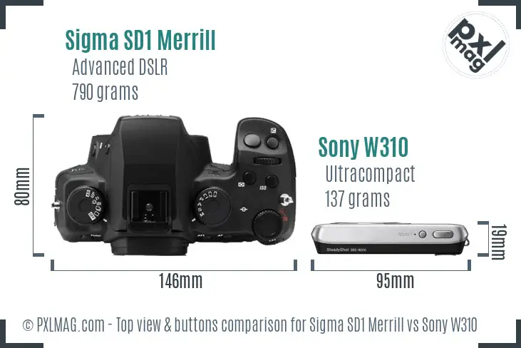 Sigma SD1 Merrill vs Sony W310 top view buttons comparison