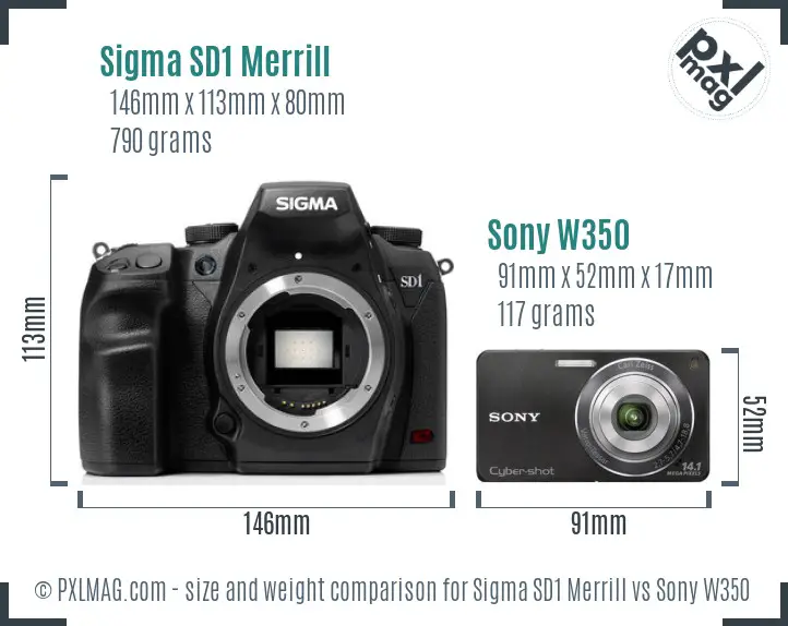 Sigma SD1 Merrill vs Sony W350 size comparison