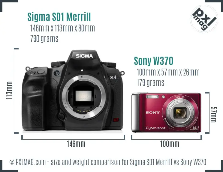 Sigma SD1 Merrill vs Sony W370 size comparison