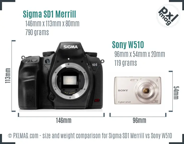 Sigma SD1 Merrill vs Sony W510 size comparison