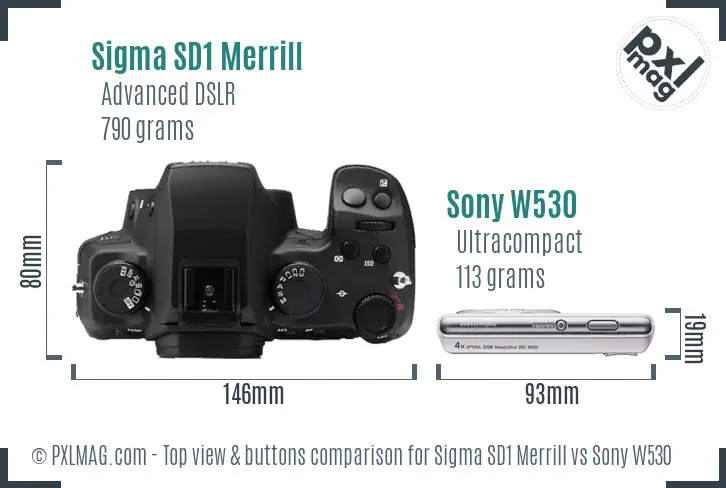 Sigma SD1 Merrill vs Sony W530 top view buttons comparison