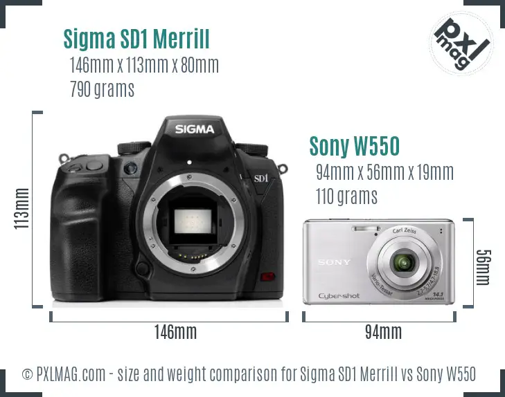 Sigma SD1 Merrill vs Sony W550 size comparison