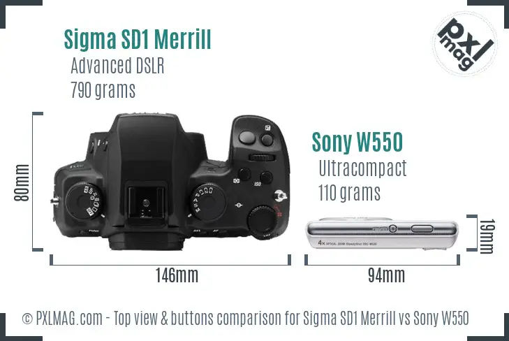 Sigma SD1 Merrill vs Sony W550 top view buttons comparison