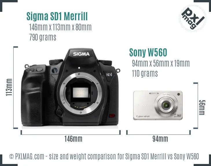 Sigma SD1 Merrill vs Sony W560 size comparison Sigma SD1 Merrill vs Sony W560 size comparison