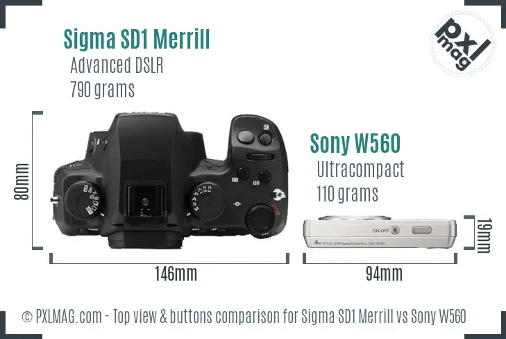 Sigma SD1 Merrill vs Sony W560 top view buttons comparison Sigma SD1 Merrill vs Sony W560 top view buttons comparison