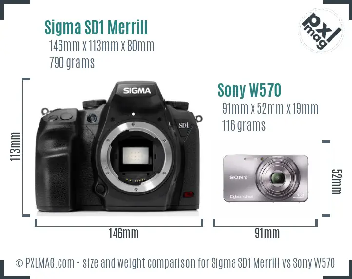 Sigma SD1 Merrill vs Sony W570 size comparison