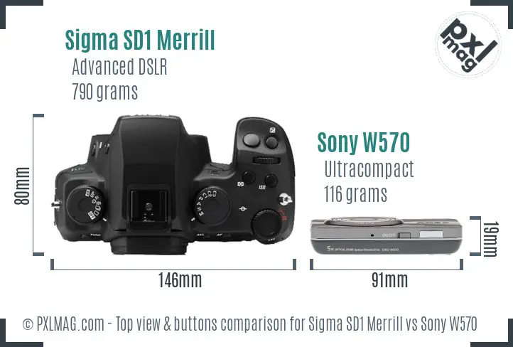 Sigma SD1 Merrill vs Sony W570 top view buttons comparison