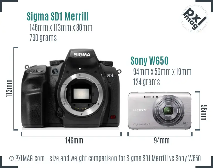 Sigma SD1 Merrill vs Sony W650 size comparison