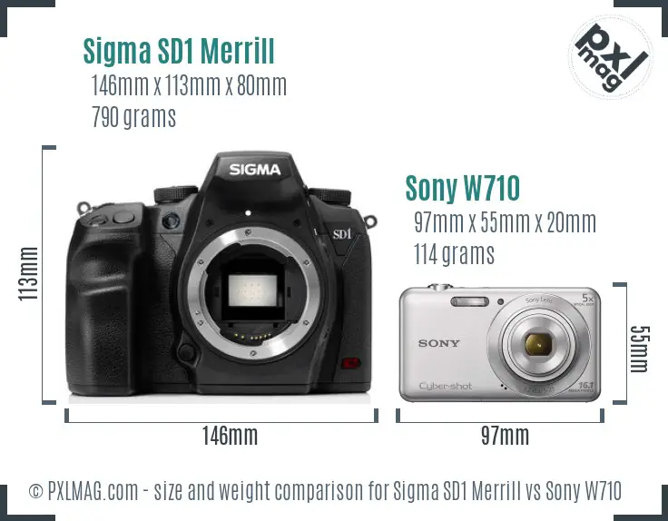 Sigma SD1 Merrill vs Sony W710 size comparison