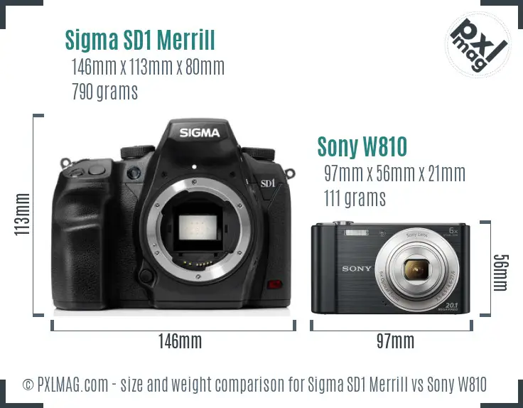 Sigma SD1 Merrill vs Sony W810 size comparison