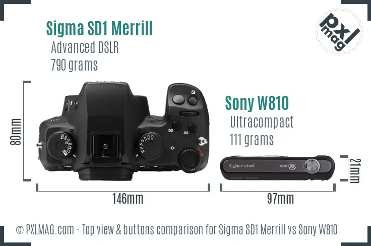 Sigma SD1 Merrill vs Sony W810 top view buttons comparison