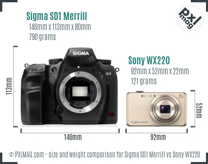 Sigma SD1 Merrill vs Sony WX220 size comparison