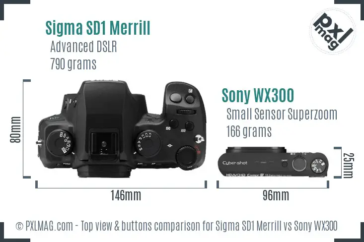 Sigma SD1 Merrill vs Sony WX300 top view buttons comparison