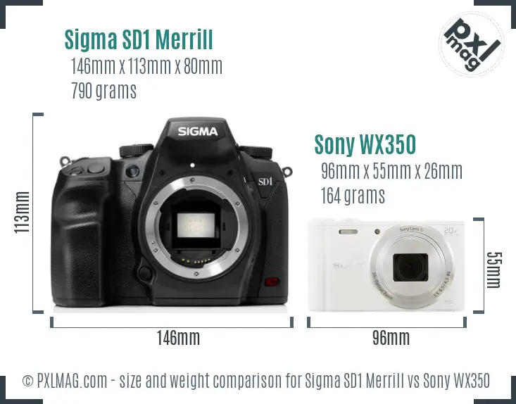 Sigma SD1 Merrill vs Sony WX350 size comparison