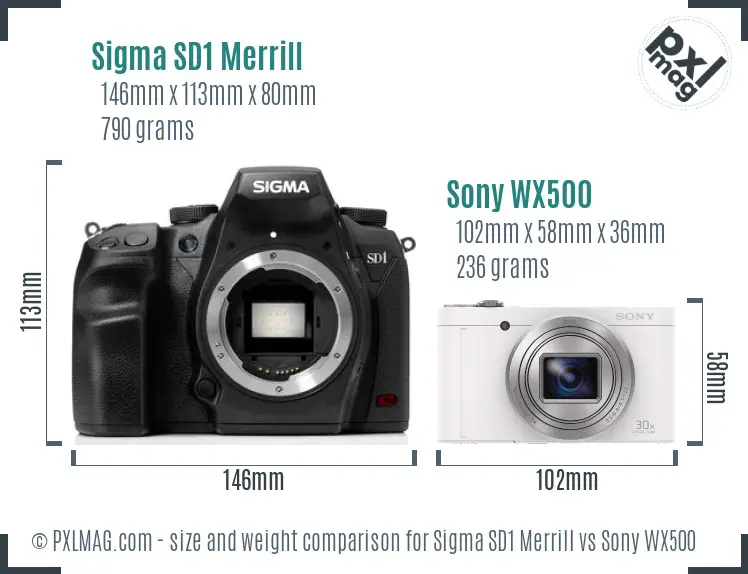 Sigma SD1 Merrill vs Sony WX500 size comparison