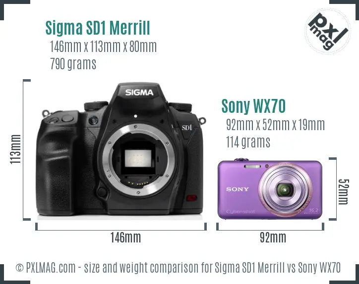 Sigma SD1 Merrill vs Sony WX70 size comparison