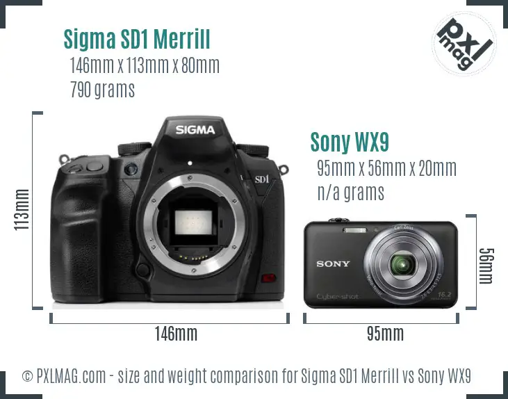 Sigma SD1 Merrill vs Sony WX9 size comparison