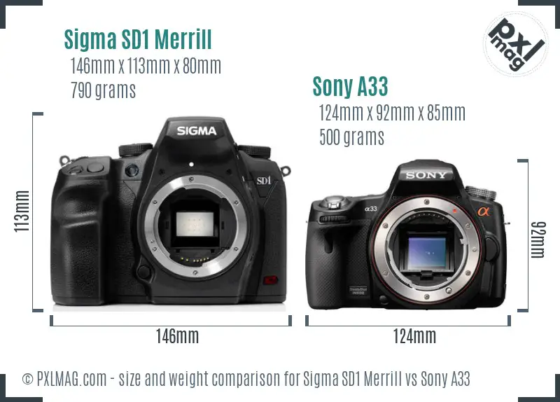 Sigma SD1 Merrill vs Sony A33 size comparison