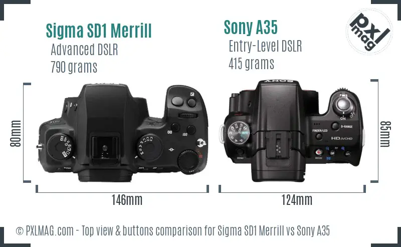 Sigma SD1 Merrill vs Sony A35 top view buttons comparison