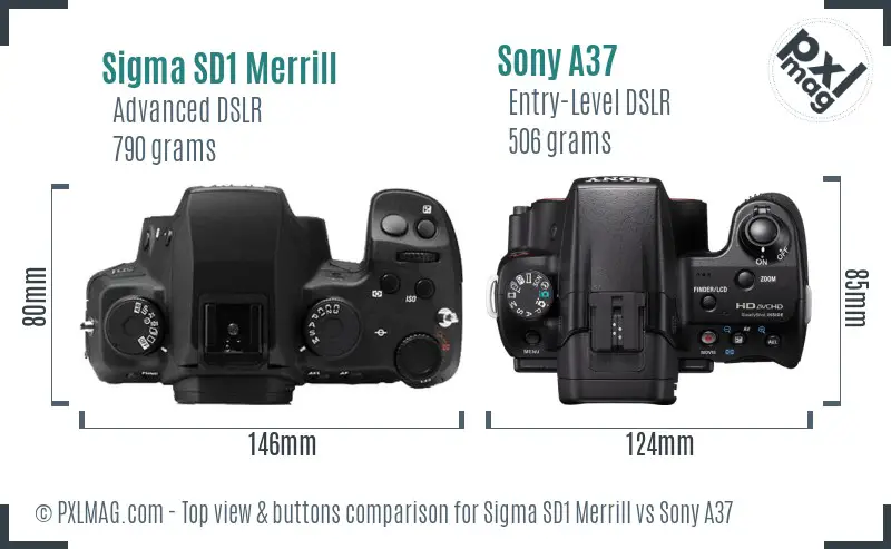 Sigma SD1 Merrill vs Sony A37 top view buttons comparison