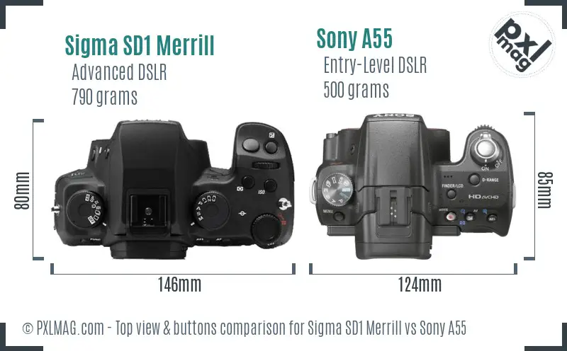 Sigma SD1 Merrill vs Sony A55 top view buttons comparison