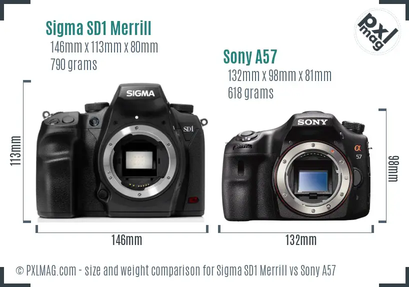 Sigma SD1 Merrill vs Sony A57 size comparison