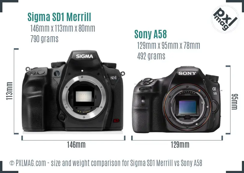 Sigma SD1 Merrill vs Sony A58 size comparison