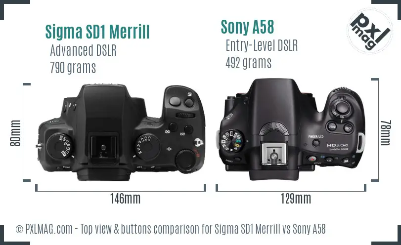 Sigma SD1 Merrill vs Sony A58 top view buttons comparison