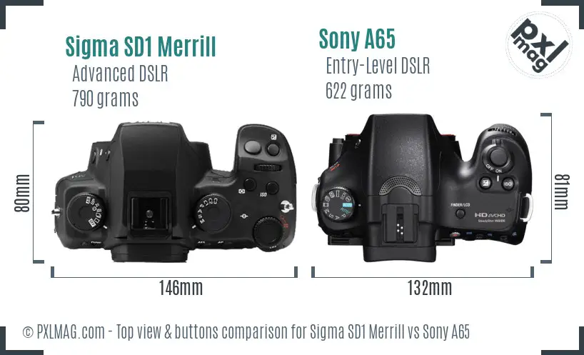 Sigma SD1 Merrill vs Sony A65 top view buttons comparison