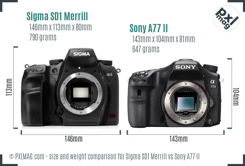 Sigma SD1 Merrill vs Sony A77 II size comparison