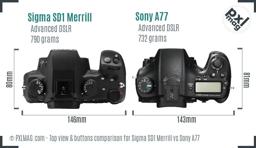 Sigma SD1 Merrill vs Sony A77 top view buttons comparison