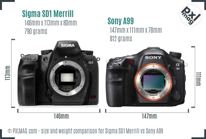 Sigma SD1 Merrill vs Sony A99 size comparison