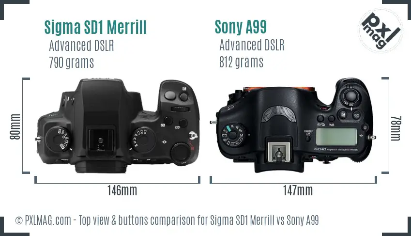 Sigma SD1 Merrill vs Sony A99 top view buttons comparison