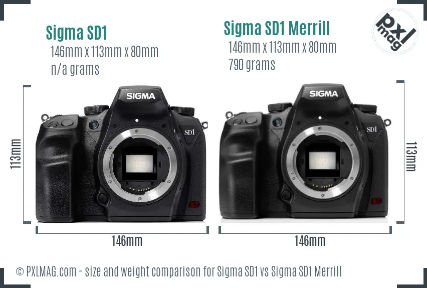 Sigma SD1 vs Sigma SD1 Merrill size comparison