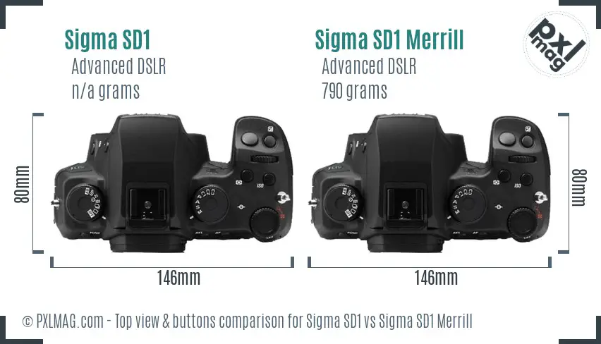 Sigma SD1 vs Sigma SD1 Merrill top view buttons comparison