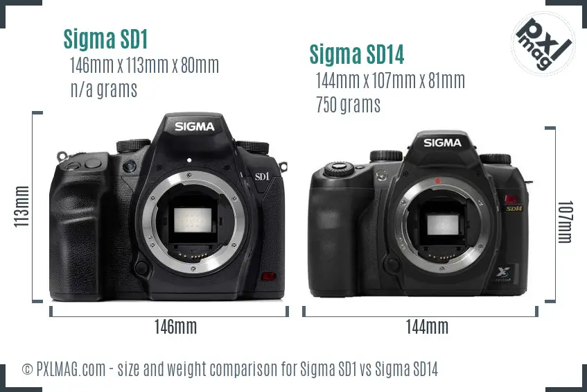 Sigma SD1 vs Sigma SD14 size comparison