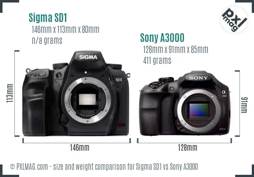 Sigma SD1 vs Sony A3000 size comparison