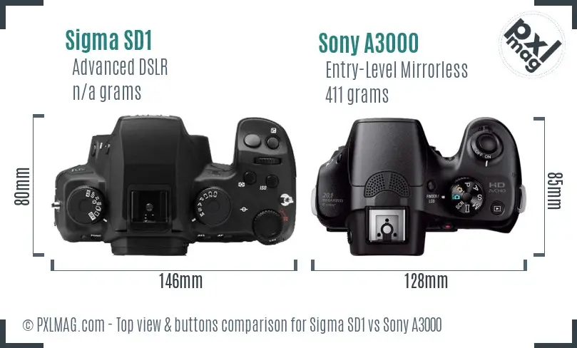 Sigma SD1 vs Sony A3000 top view buttons comparison
